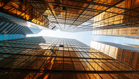 Trade Leads & The Hot Sheet Newsletter