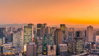Immigration & Visa Services