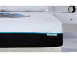GTN Home Furnishing 10" Memory Foam Mattress