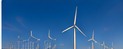 Renewable Energy & Sustainability in United Arab Emirates