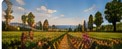 Agri-Food & Beverages in Spain