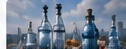 Chemicals & Pharmaceuticals in Netherlands