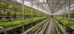 Agri-Tech & Sustainable Food in Netherlands