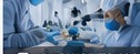Pharmaceuticals & Biotech in France