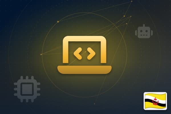 Digital Services in Brunei
