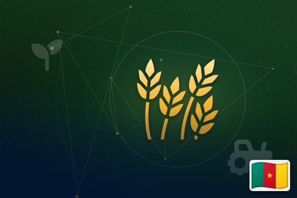 Agriculture & Agribusiness in Cameroon