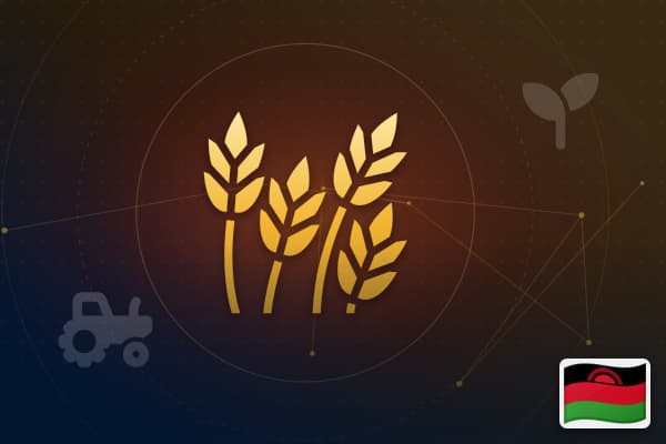 Agro-Processing in Malawi