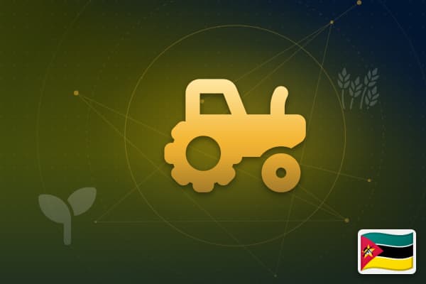 Agribusiness in Mozambique