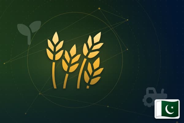 Agri-Food Processing in Pakistan