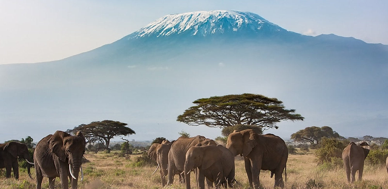 Kenya