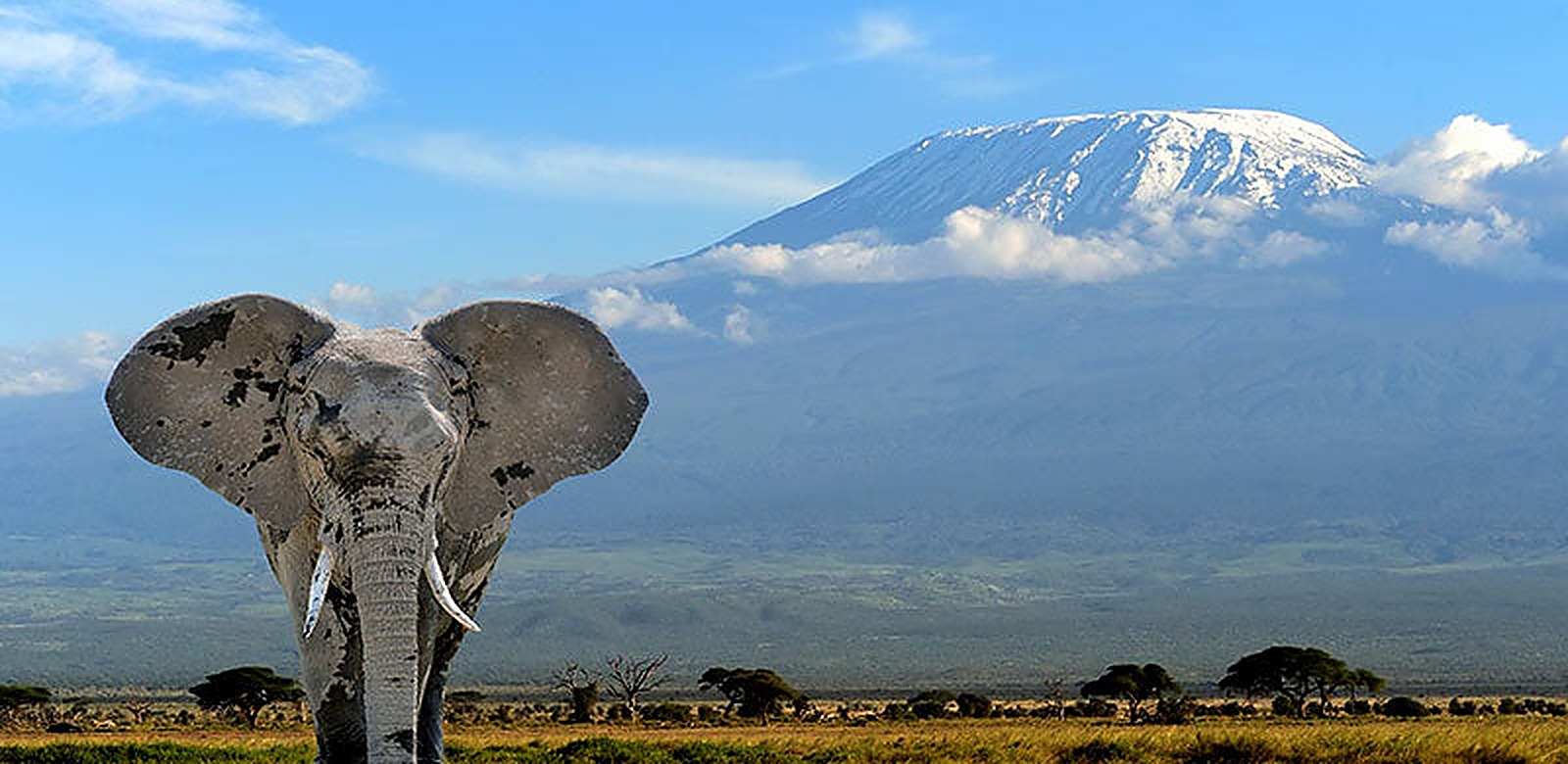 Tanzania