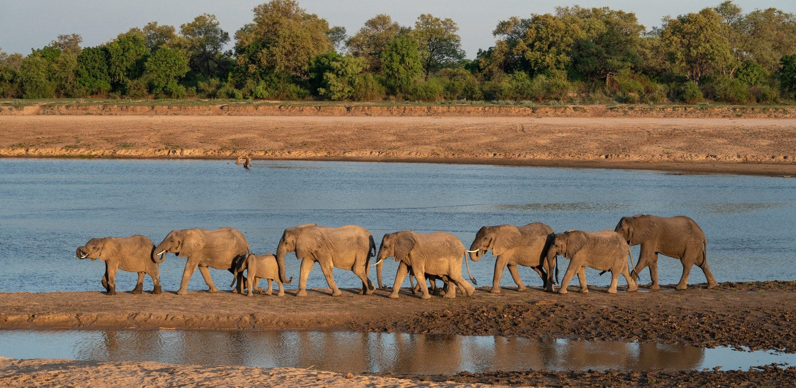 Zambia