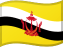Brunei flag