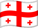 Georgia flag