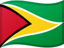 Guyana flag