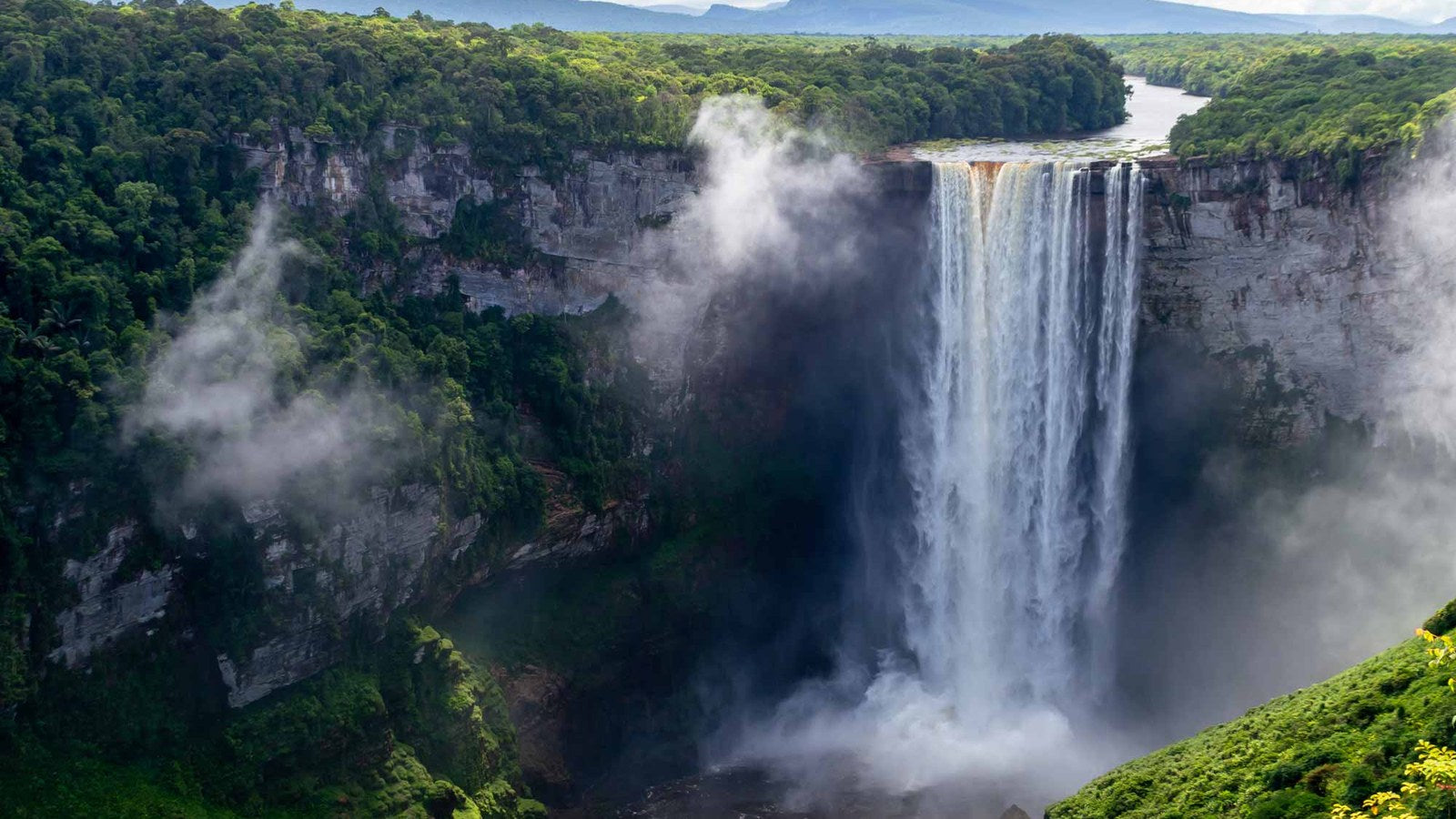 Guyana country profile