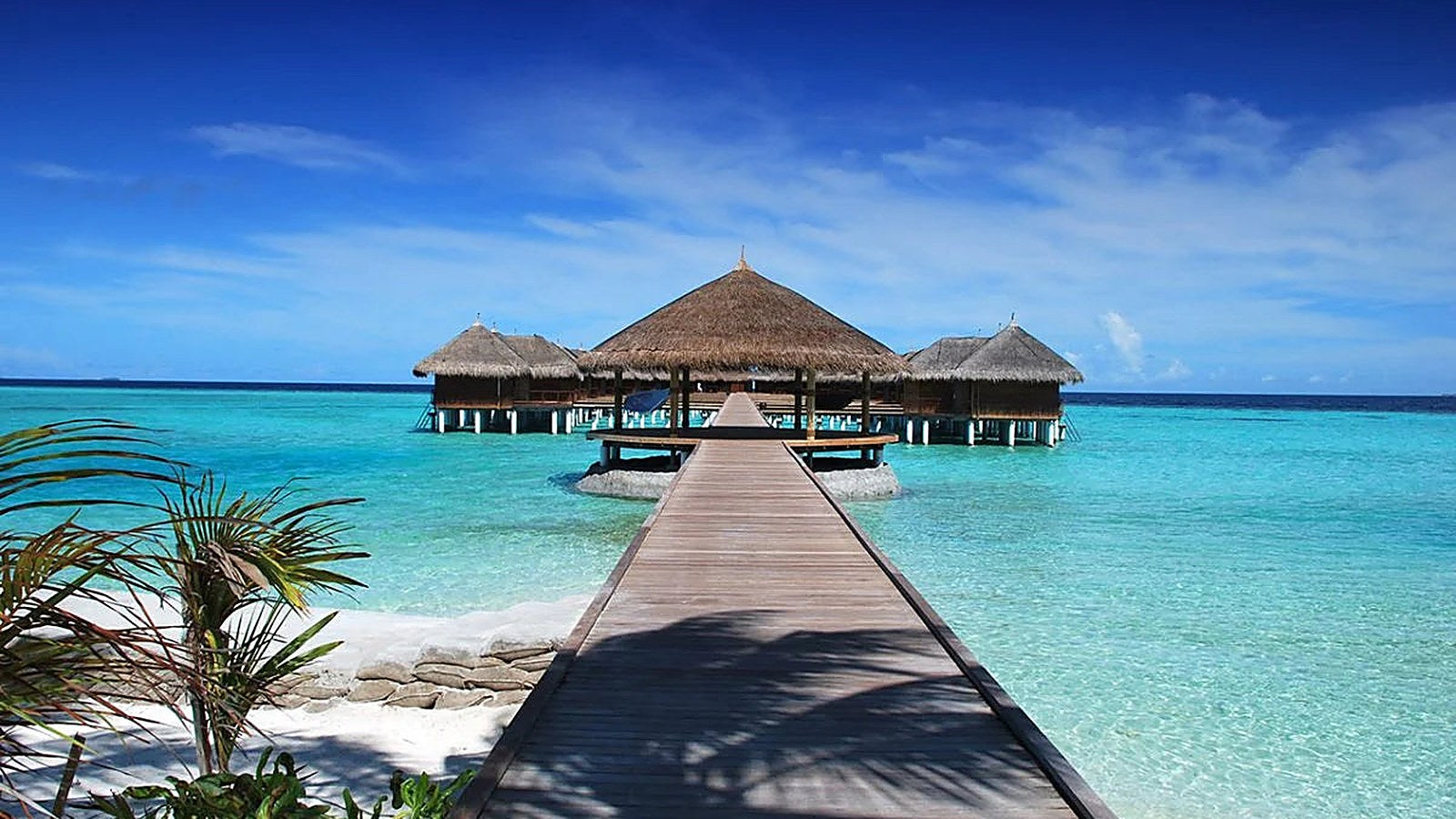 Maldives country profile