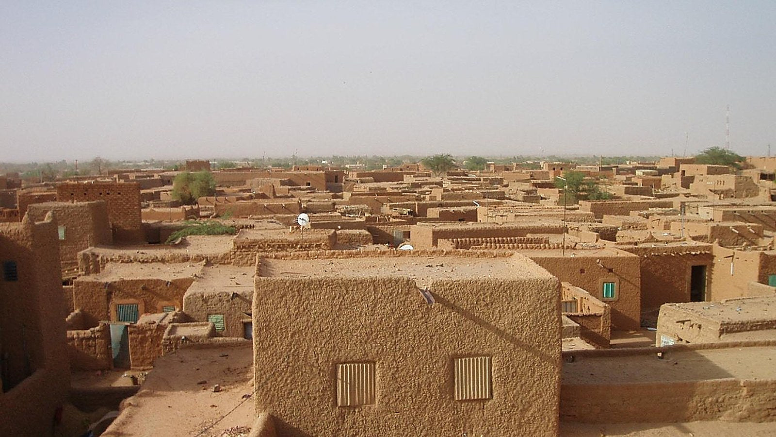 Niger country profile