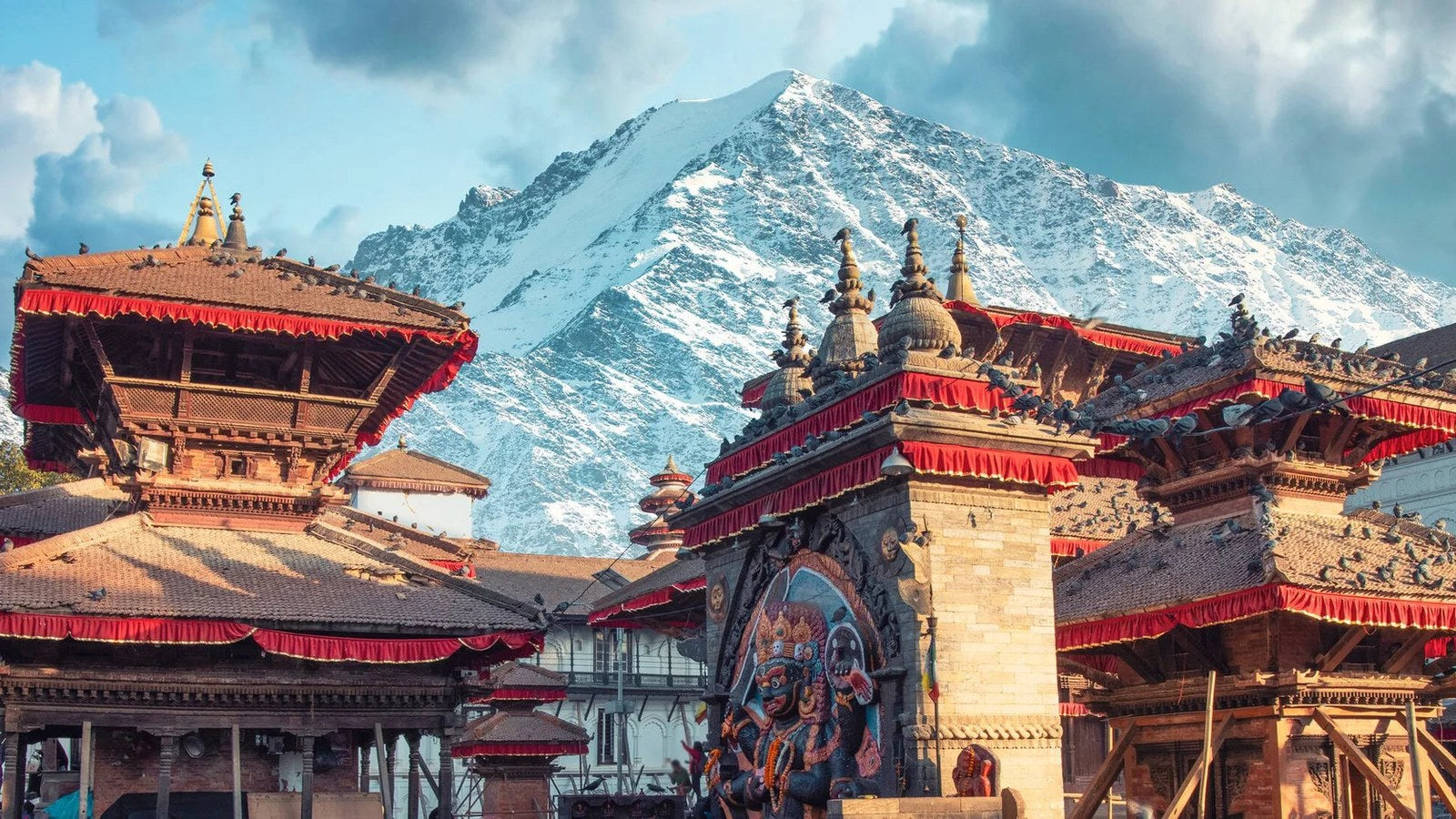 Nepal country profile