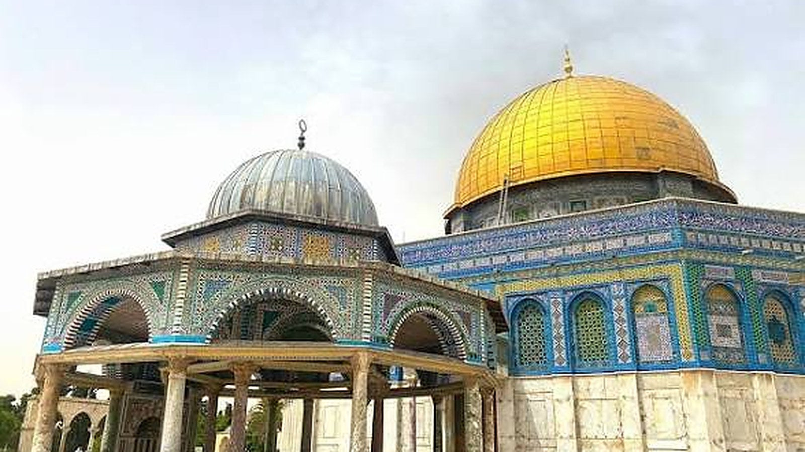 Palestine country profile
