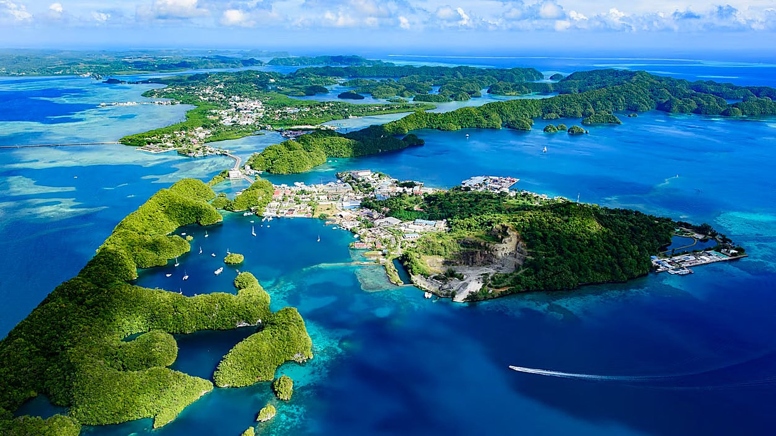 Palau country profile