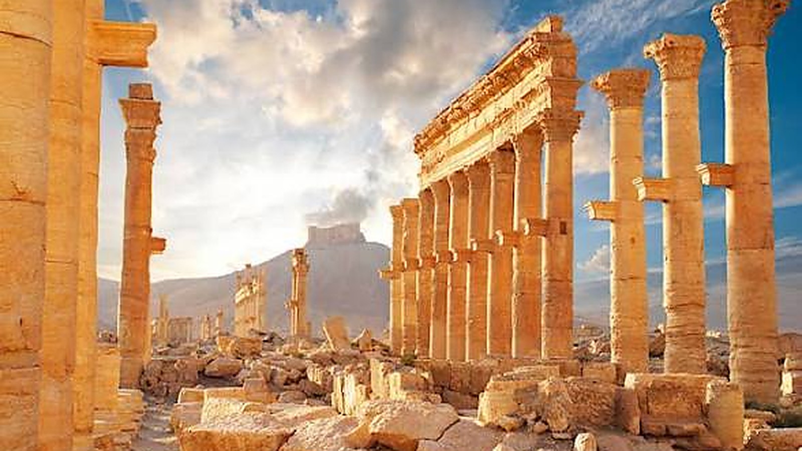 Syria country profile