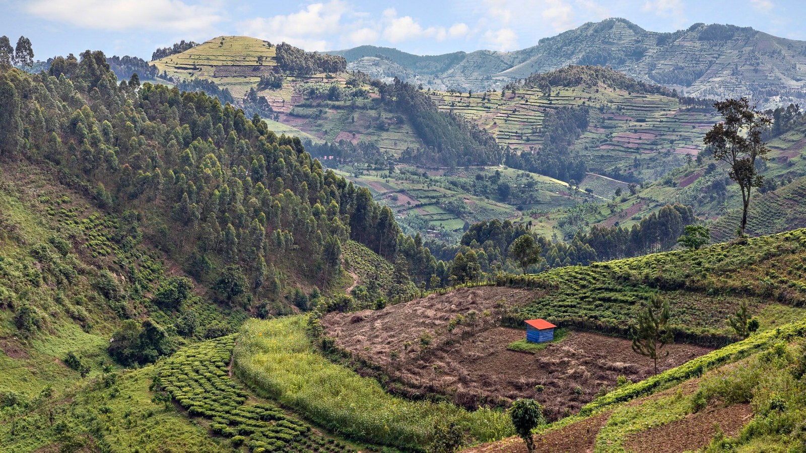 Uganda country profile