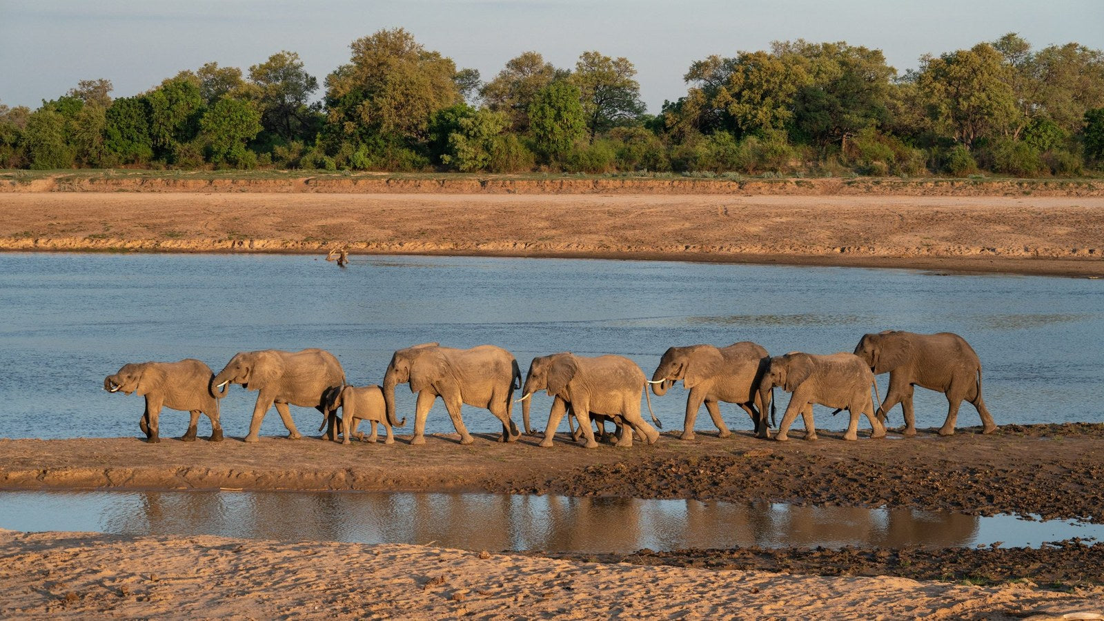 Zambia country profile