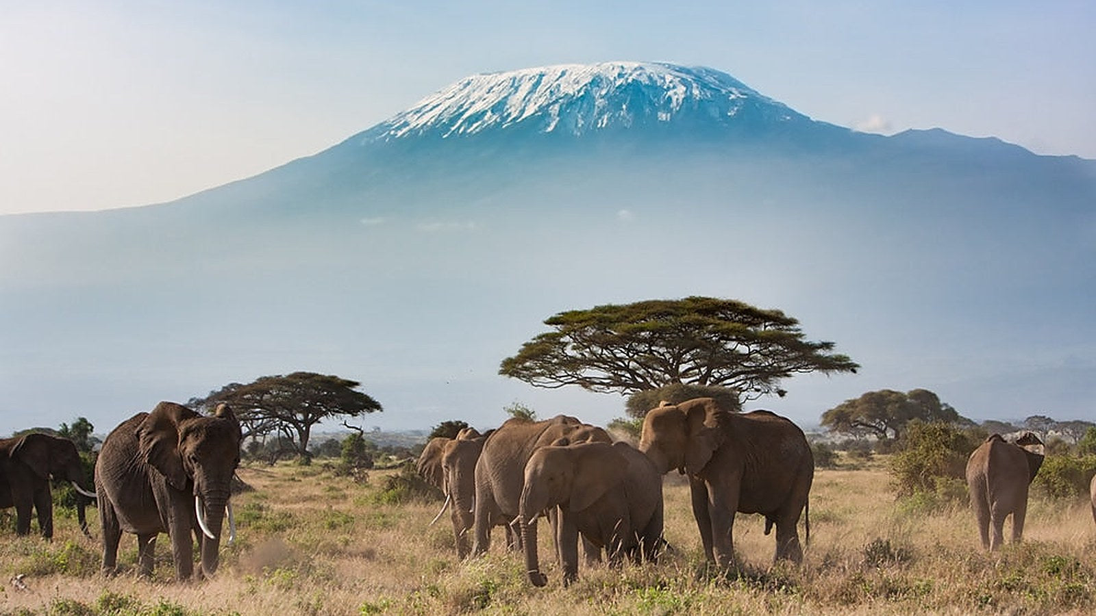 Africa